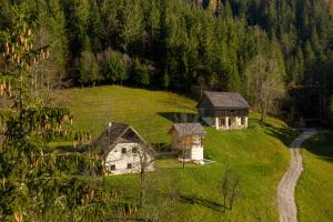 an aerial view of a house in a green field at Alpine Contrapposto in Solčava