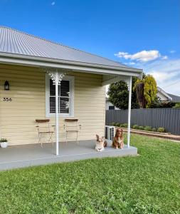 a dog and a cat sitting next to a house at Maison Macquarie in Dubbo