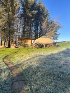 a tent on a field next to a road at The Bru Bus in Maybole +25 photos