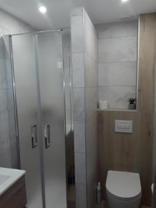 a bathroom with a shower with a toilet and a sink at Chambres d'Hôtes Arnold in Dambach-la-Ville +19 photos