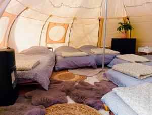 a room with four beds in a tent at Il Giardino Segreto in Waterloo
