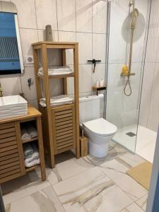 a bathroom with a toilet and a shower at L'Opaline in Les Épesses