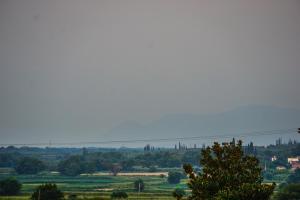 Imagen de la galería de Elatos, en Loutra Ipatis