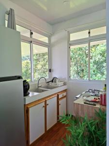 a kitchen with a sink and two windows at Bungalow Hoarai in Uturoa