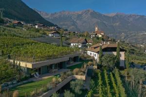 an aerial view of a vineyard with a house at Füchslhof in Marlengo