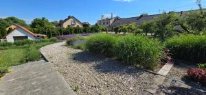 a garden with purple flowers and grass at Agroturystyka u Joli in Pacanów