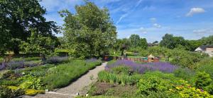 a garden with purple flowers and a pathway at Agroturystyka u Joli in Pacanów