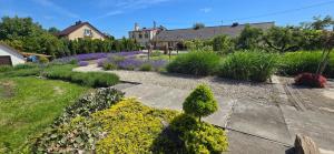 a garden with yellow and purple flowers and plants at Agroturystyka u Joli in Pacanów +14 photos