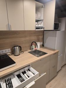 a kitchen with a sink and a counter at A&A Apartment Vilnius 2 in Vilnius