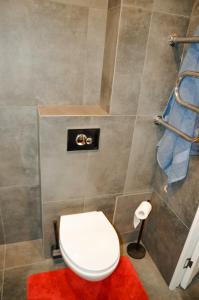 a bathroom with a white toilet and a red rug at Merķeļa apartamenti in Valka