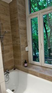 a bathroom with a bath tub and a window at Villa Bartholdi in Colmar +14 photos