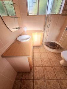 a bathroom with a sink and a shower and a toilet at Minelo Guesthouse in Virginia