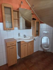 a bathroom with a sink and a toilet at Haus Gemütlichkeit in Schotten