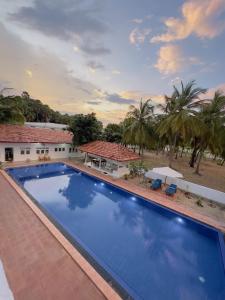 a large swimming pool next to a building with palm trees at Blue Kite Retreat in Kalpitiya