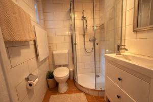 a bathroom with a shower and a toilet and a sink at Rheinpromenade in Kamp-Bornhofen +11 photos