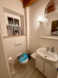 a bathroom with a sink and a toilet and a mirror at Ferienhaus Schlummerkoje in Friedrichskoog +16 photos