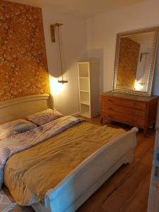 a bedroom with a bed and a dresser and a mirror at Maisonnette individuelle in Figarol