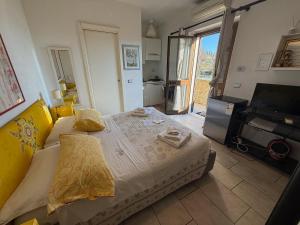 a bedroom with a large bed and a television at Il Filo di Arianna 2 in Polverara