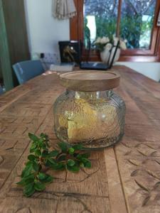 a glass jar on a wooden table with a plant at Bubuhle Self Catering Cottage in Hogsback