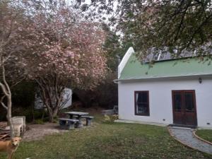 a dog standing in front of a white house at Bubuhle Self Catering Cottage in Hogsback