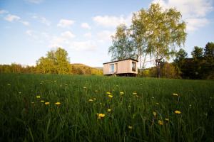 a house in the middle of a field with flowers at Maringotka pod Smrkem in Nové Město pod Smrkem