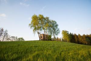 a tree sitting on top of a green field at Maringotka pod Smrkem in Nové Město pod Smrkem