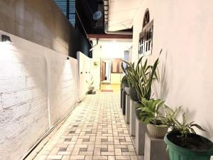 a hallway with potted plants on the side of a building at Home Stay Residence - Near Airport in Negombo