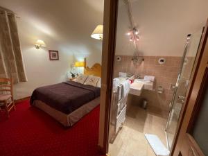 a bedroom with a bed and a bathroom with a shower at Hôtel Restaurant Le Chalet d'Auron et Spa Inclus in Auron +55 photos