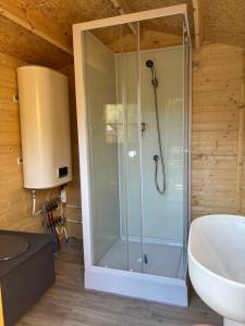 a bathroom with a shower and a toilet and a sink at Spa Les Jardins De Chiron Lodges et Tiny House dans le sud in Sauve