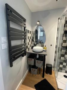 a bathroom with a sink and a mirror at Appartement proche Zenith & Polyclinique in Nantes +29 photos
