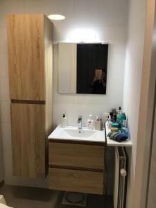 a bathroom with a sink and a mirror at La casa in Tielt +4 photos