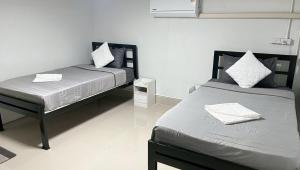 a bedroom with two beds and a white wall at SP House Khao Sok in Khao Sok National Park