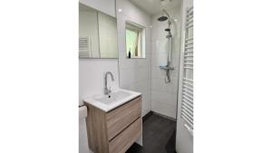a bathroom with a sink and a mirror at De Vlinderstruik | 4 persons in Gasselte +61 photos