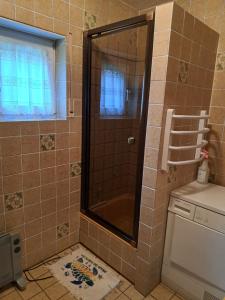 a shower with a glass door in a bathroom at Wasgau Urlaubserlebnis Fels und Seen in Ludwigswinkel