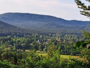 a view of a valley with trees and a mountain at Wasgau Urlaubserlebnis Fels und Seen in Ludwigswinkel