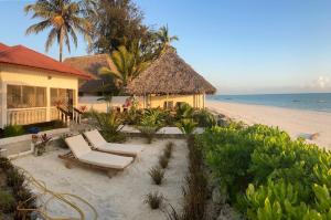 a resort on the beach with chairs and a building at House on the beach in Jambiani