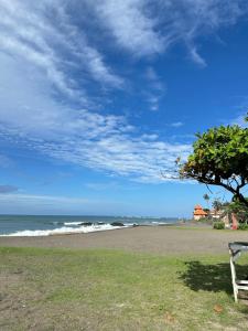 a bench sitting on the grass near the beach at Seseh Studio in Cemagi