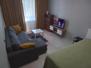 a living room with a couch and a tv at Svečių butas in Šiauliai