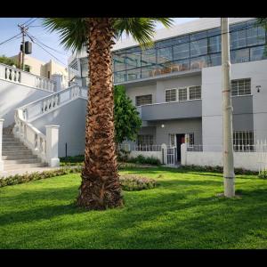 a palm tree in front of a building at Gran Estancia Vallecito in Arequipa