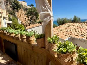 a row of potted plants sitting on a balcony at Casa Halcón in Jávea