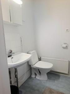 a white bathroom with a toilet and a sink at Nivan Majoitus Nivan koulu in Joensuu