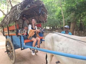a woman riding in a horse drawn carriage with a cow at Jegers Villa in Negombo