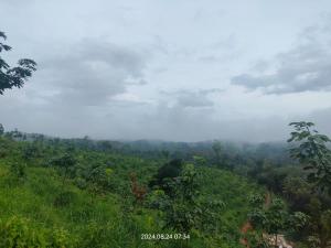 a view of a lush green hillside with clouds in the sky at Hillocks and The Spring in Sampaji