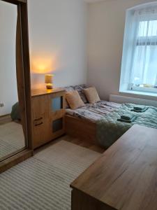 a bedroom with a bed with a dresser and a mirror at Pod Dzikowcem in Boguszów-Gorce