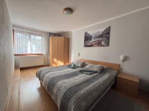 a bedroom with a bed in a room at Apartmán Stráne in Martin