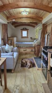 a dog laying on the floor in a living room at Mòr Braw in Banavie