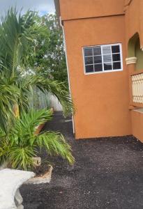 a house with a palm tree next to a building at DaRoyals in Junction