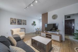 ein Wohnzimmer mit Sofa und Fernseher in der Unterkunft Borca 3 in Borča