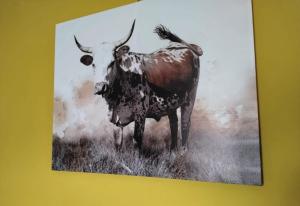 a painting of a bull on a wall at The Anvil Rest Cottage in Calitzdorp
