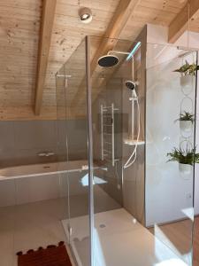 a glass shower in a room with a wooden ceiling at Mitteraubach in Jandelsbrunn +30 photos